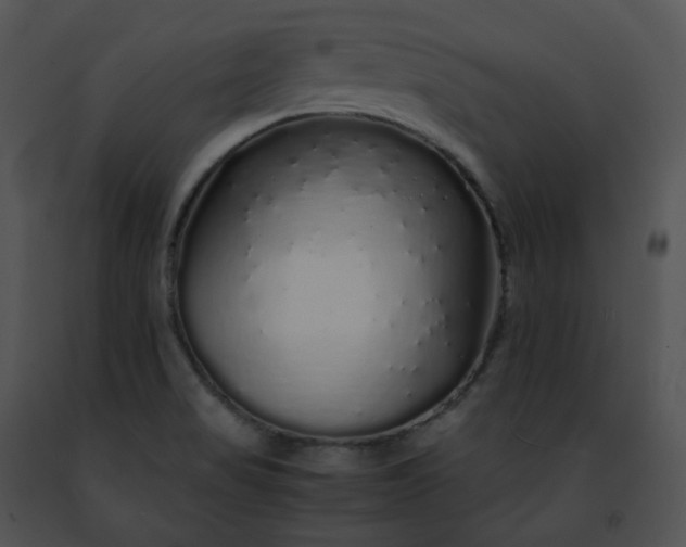 X0000091491517200708301925