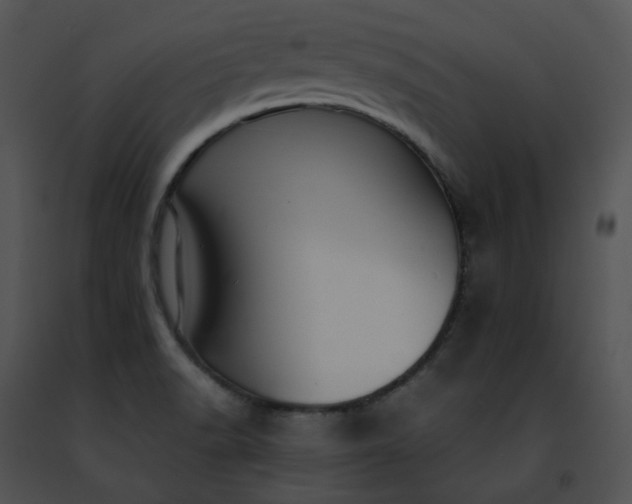 X0000091491518200708301925