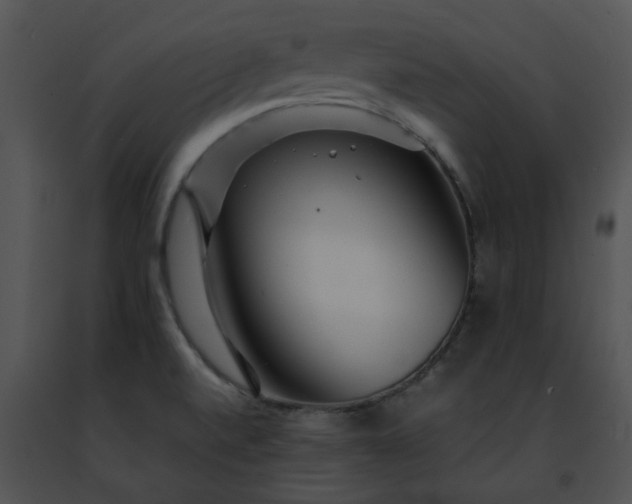 X0000091491520200708301925