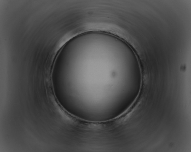 X0000091491521200708301925