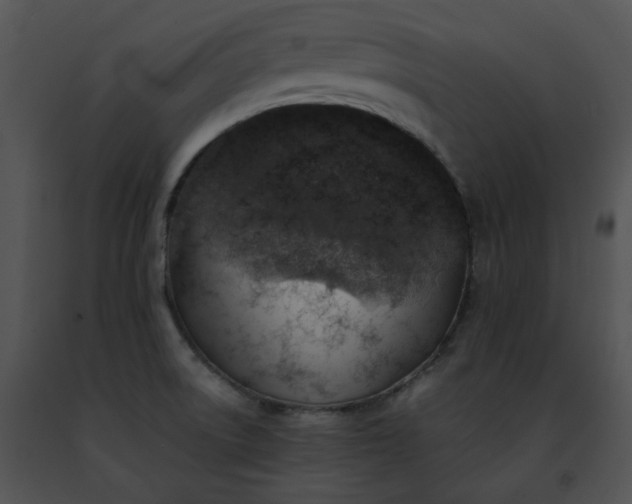 X0000091491522200708301925