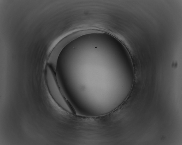 X0000091491524200708301925