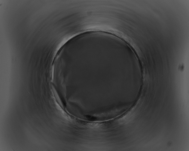 X0000091491529200708301925