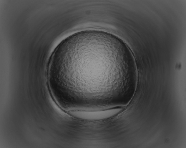 X0000091491531200708301925