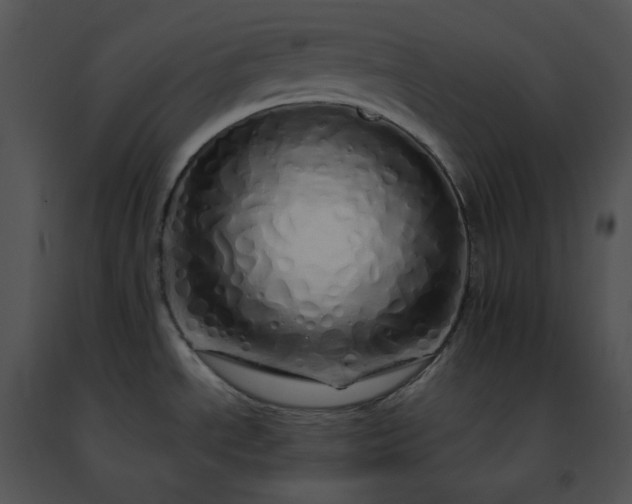 X0000091491534200708301925