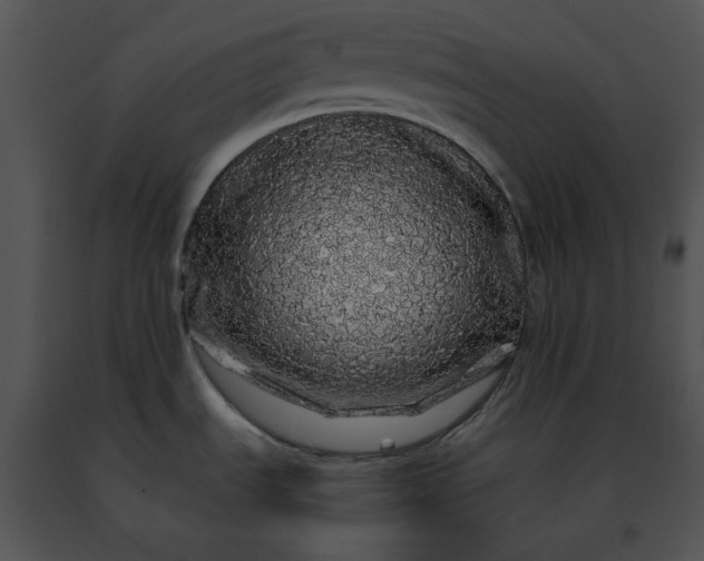 X0000091491535200708301925