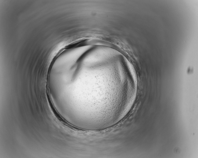X0000091490003200709061911