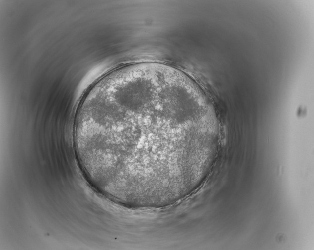 X0000091490004200709061911