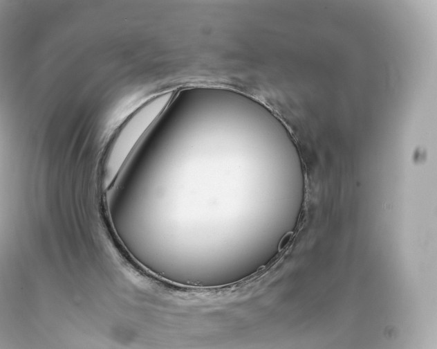 X0000091490005200709061911