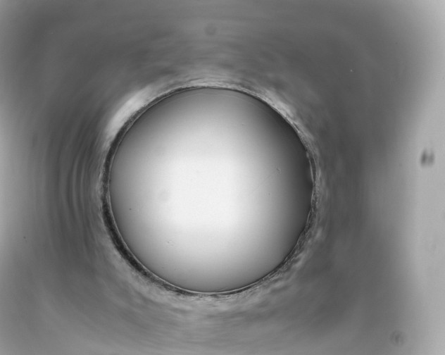 X0000091490007200709061911