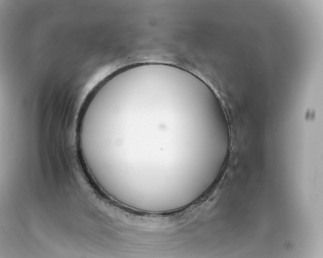 X0000091490008200709061911