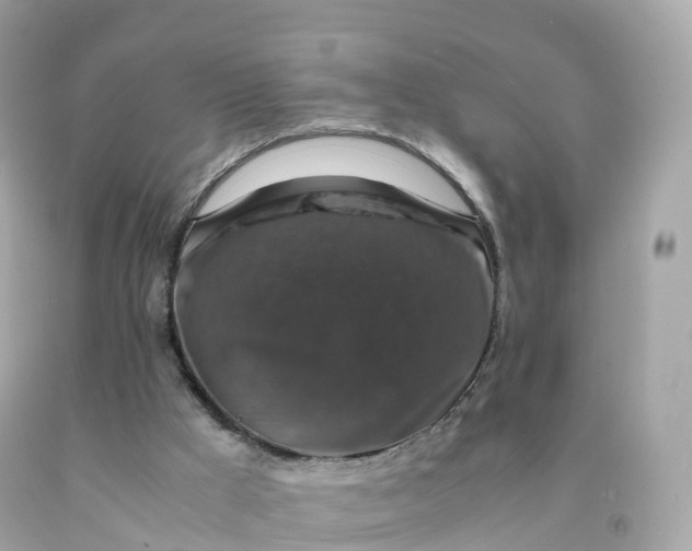 X0000091490009200709061911