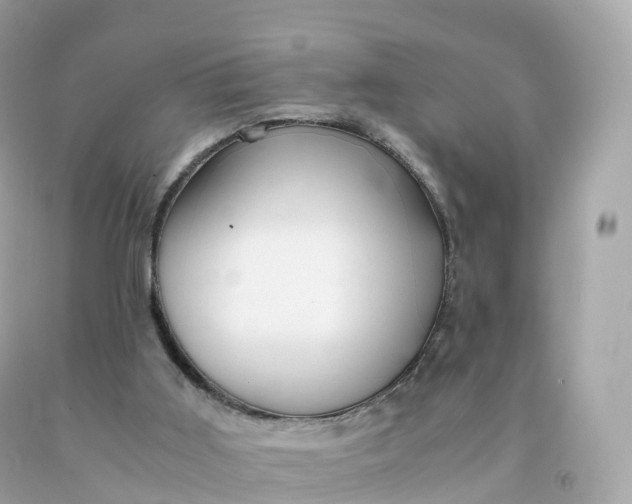 X0000091490011200709061911