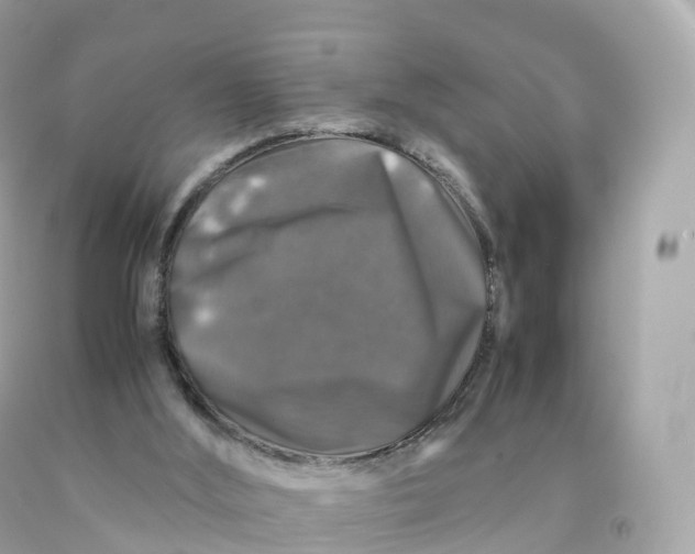 X0000091490012200709061911