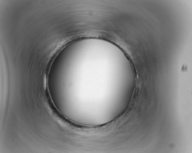 X0000091490013200709061911