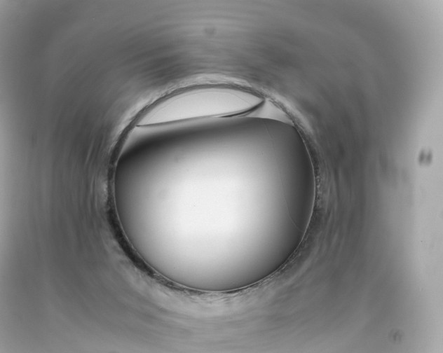 X0000091490015200709061911