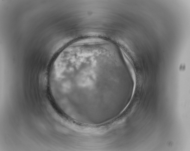 X0000091490016200709061911