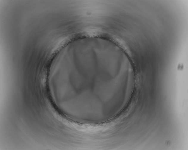 X0000091490018200709061911
