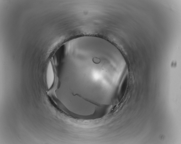 X0000091490019200709061911