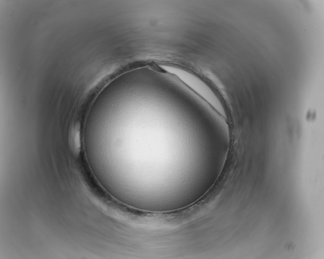 X0000091490020200709061911