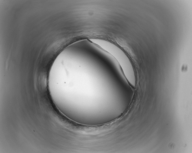 X0000091490021200709061911