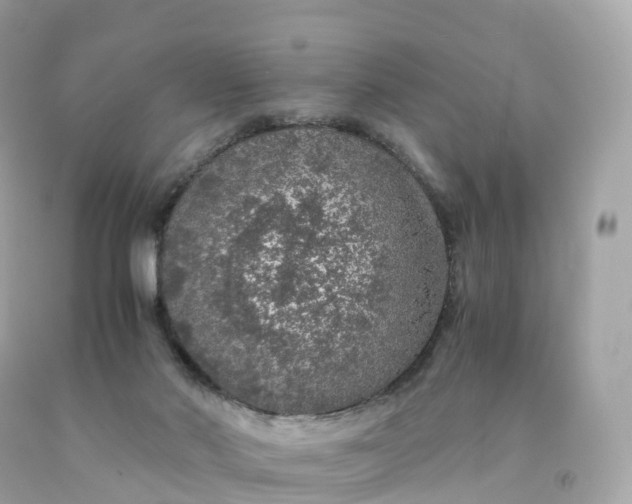 X0000091490022200709061911