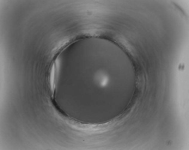 X0000091490023200709061911