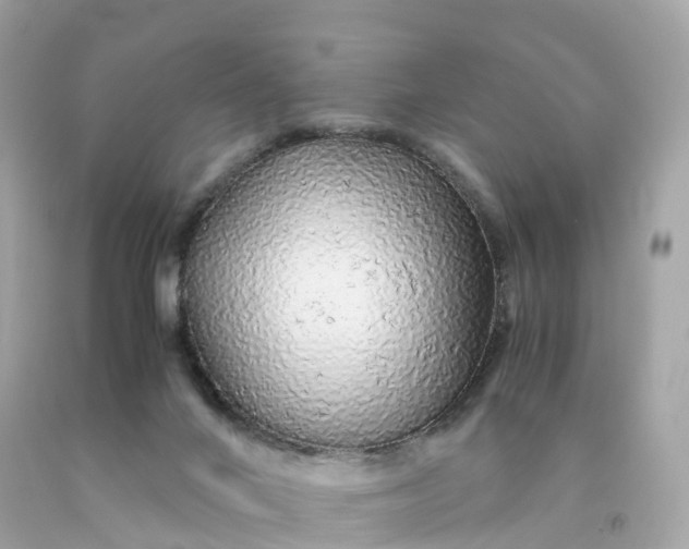 X0000091490024200709061911