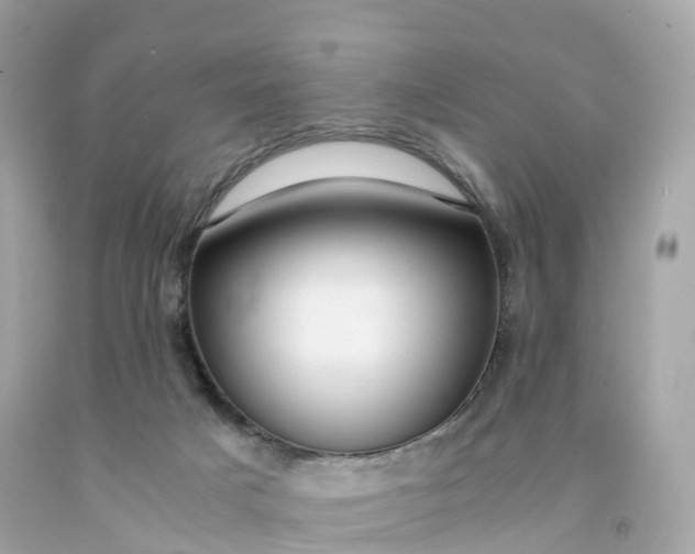 X0000091490025200709061911