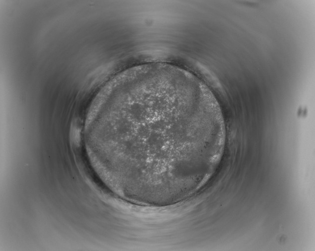 X0000091490026200709061911