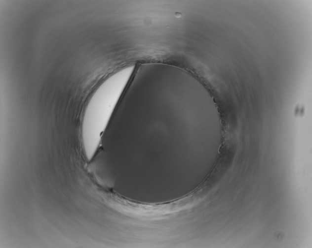 X0000091490027200709061910