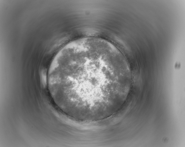 X0000091490028200709061910
