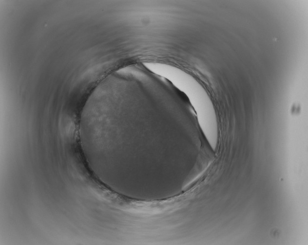 X0000091490029200709061910