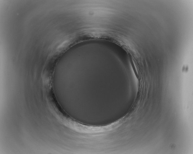 X0000091490031200709061910