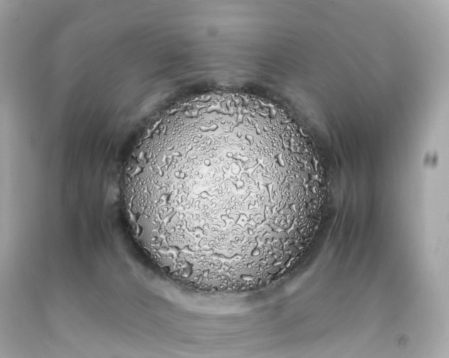 X0000091490032200709061910