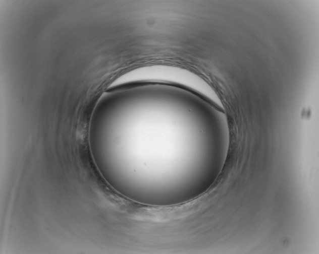 X0000091490033200709061910