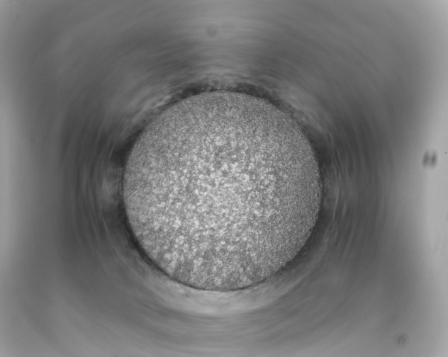 X0000091490034200709061910