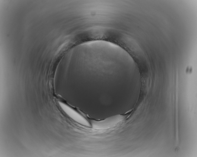 X0000091490035200709061910