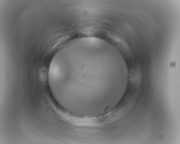 X0000091490036200709061910
