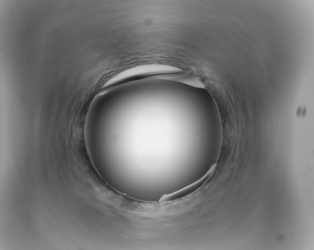 X0000091490037200709061910