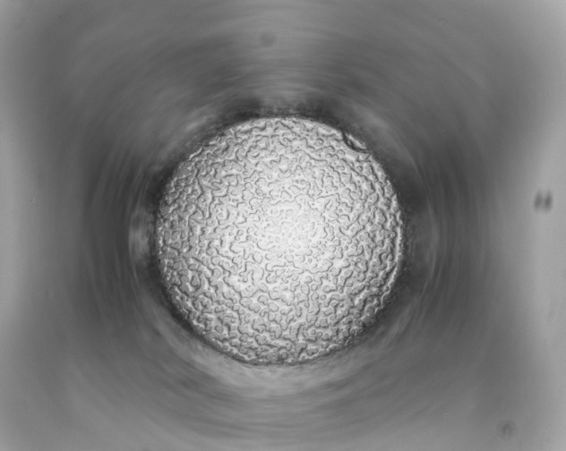 X0000091490038200709061910