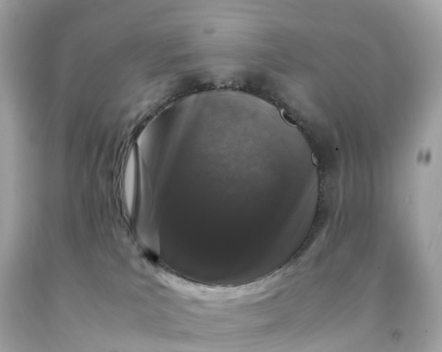 X0000091490039200709061910