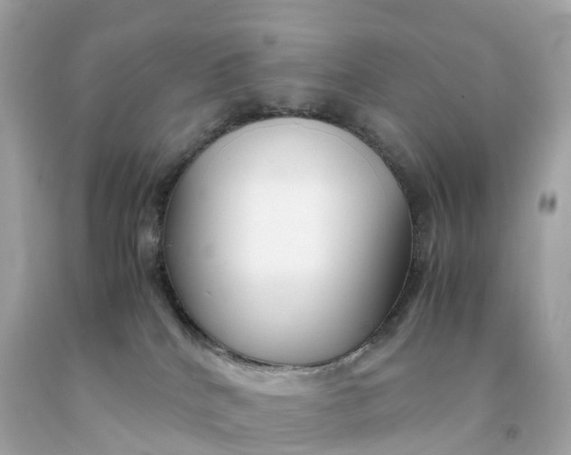 X0000091490040200709061910