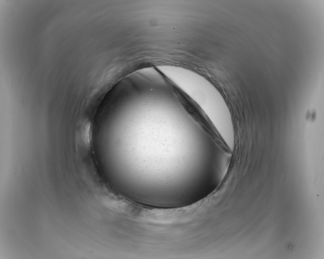 X0000091490041200709061910