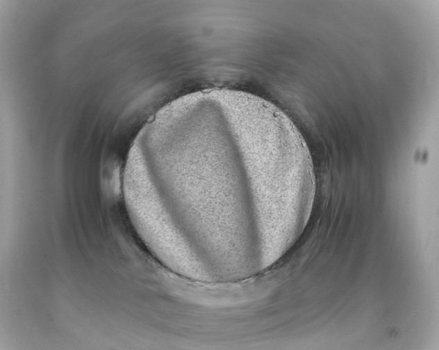 X0000091490042200709061910