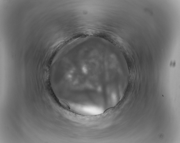 X0000091490043200709061910