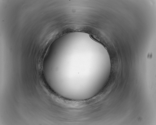 X0000091490044200709061910