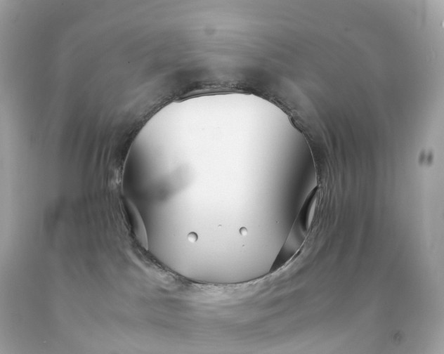 X0000091490045200709061910