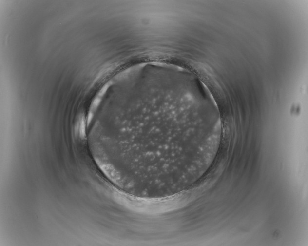 X0000091490046200709061910