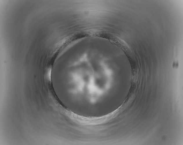 X0000091490047200709061910